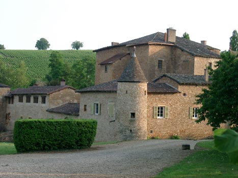 Ch&acirc;teau du Sou Lacenas (69640) D&eacute;tail