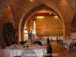 Fred Studio