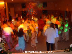 Fred Studio