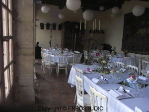 Fred Studio
